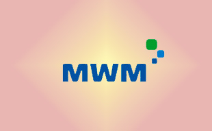 ✓ MWM 0304 4943 Запчасть MWM 